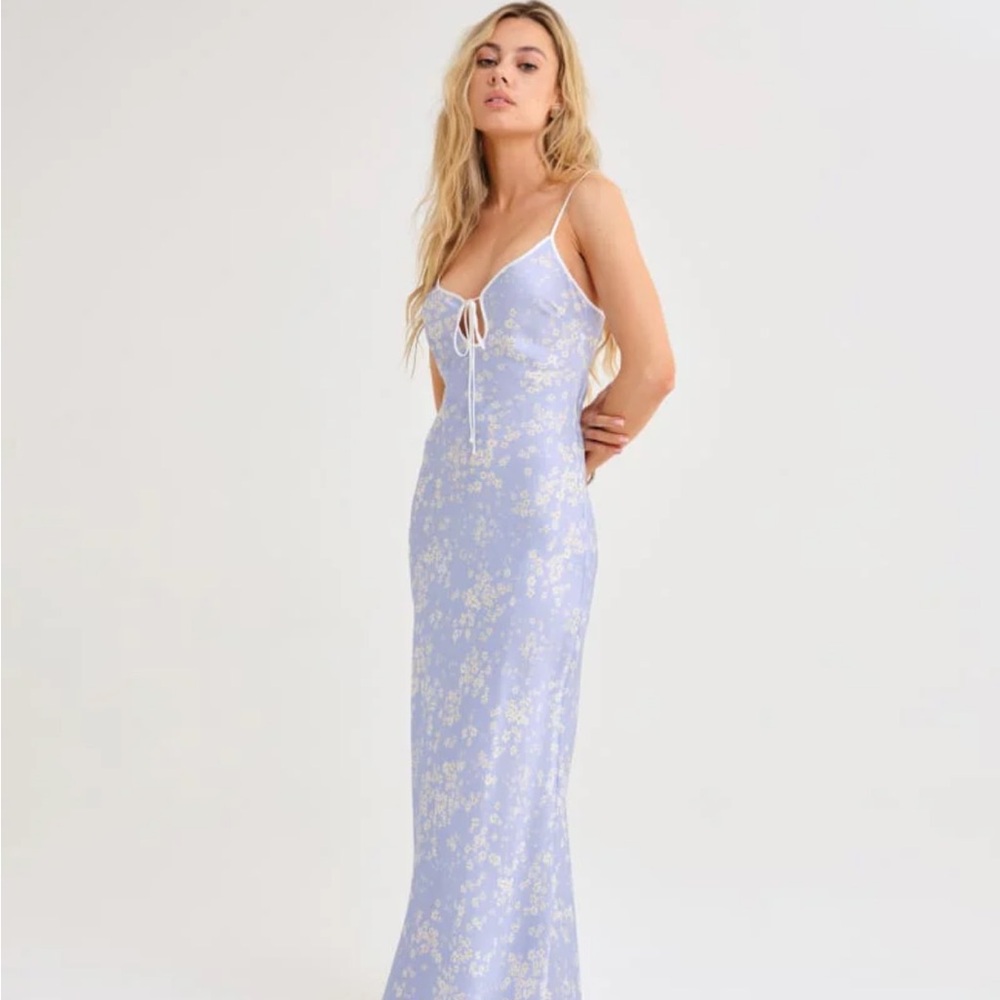NWT Periwinkle floral maxi dress